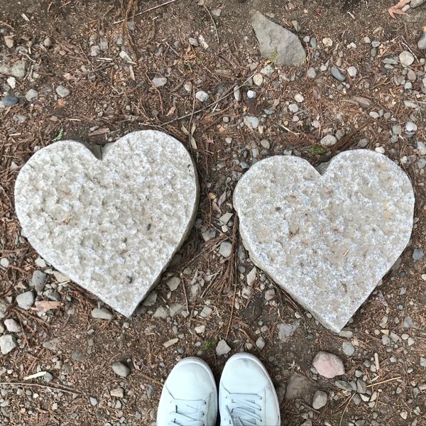 日本・日光東照宮「栃木県旅行✈️」の写真