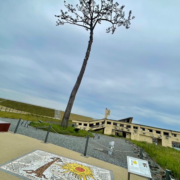 日本・岩手県「岩手県・奇跡の一本松🚗」の写真