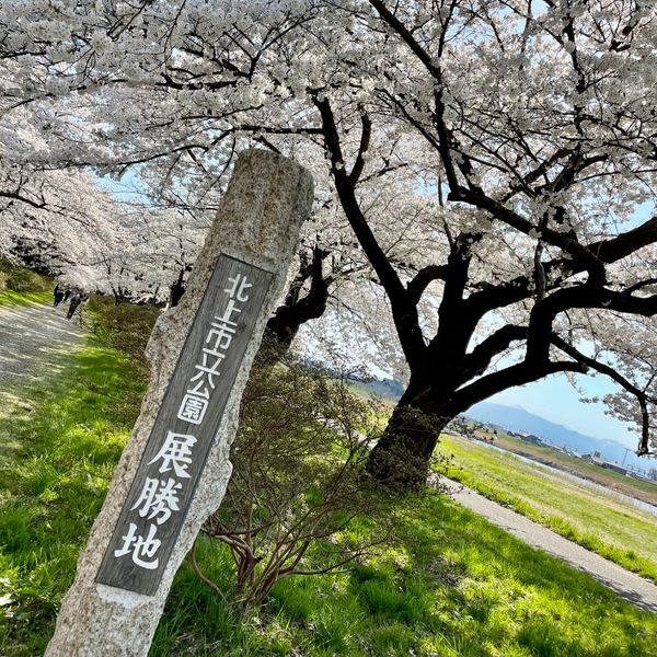 日本・岩手県「岩手県・北上展勝地🚗」の写真