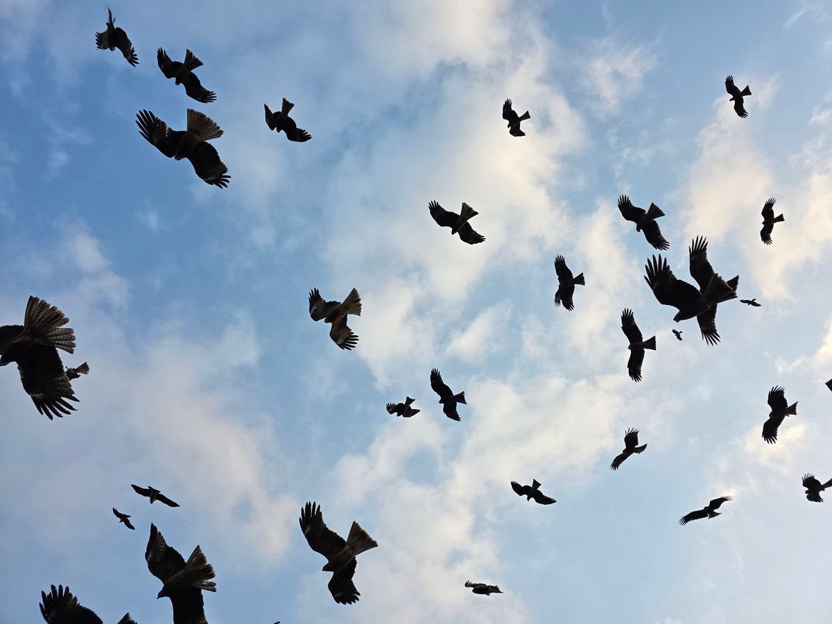 石鏡第一ホテル神具良