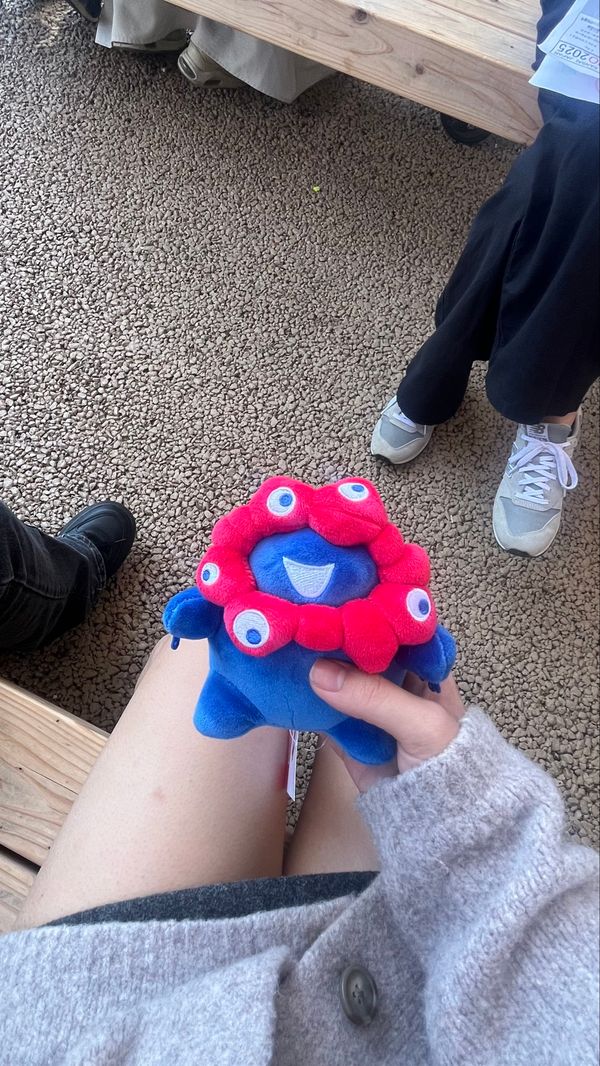 日本・京都府「おおさか♡」の写真