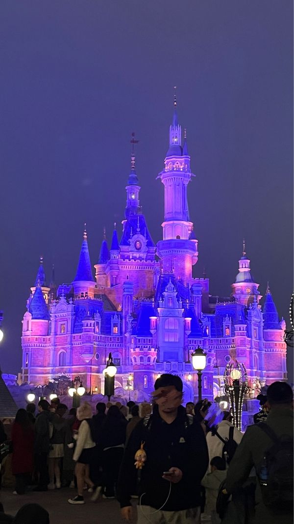 中国・上海「上海♡」の写真：𝑫𝒊𝒔𝒏𝒆𝒚♡