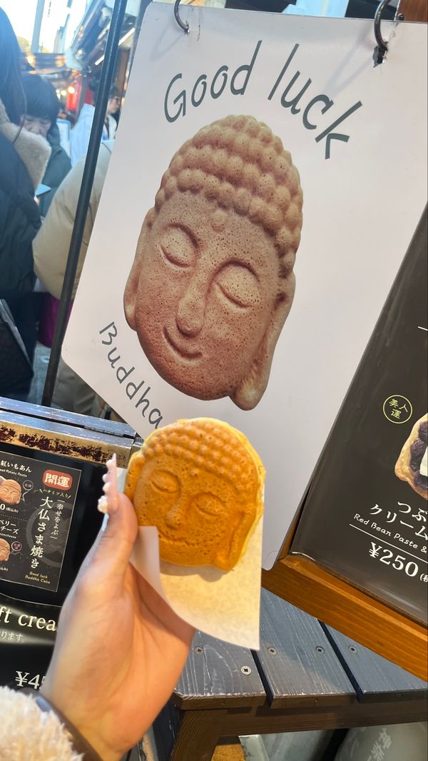 日本・神奈川県「鎌倉」の写真：ご飯しか食べないで帰宅