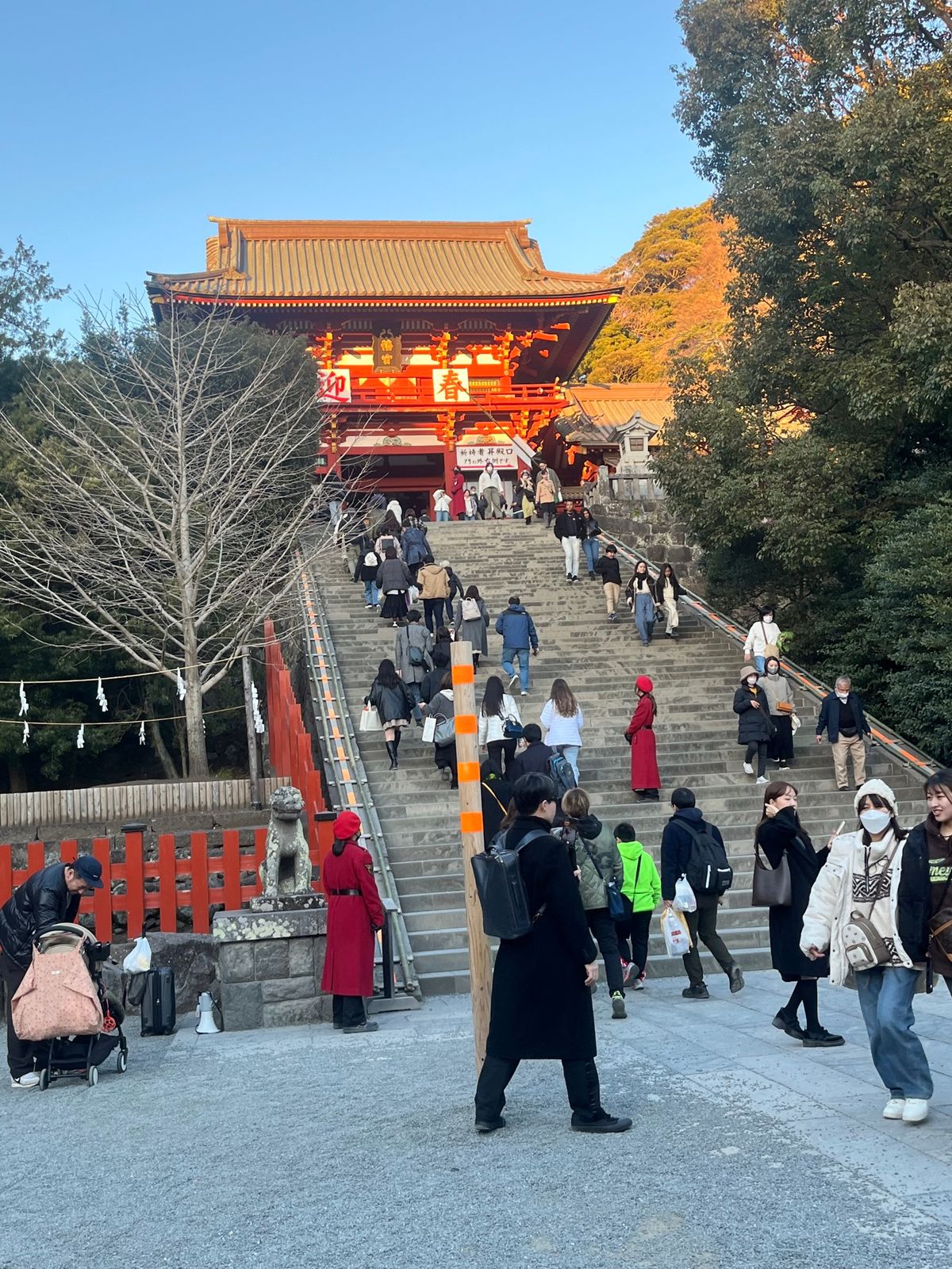 ご飯しか食べないで帰宅