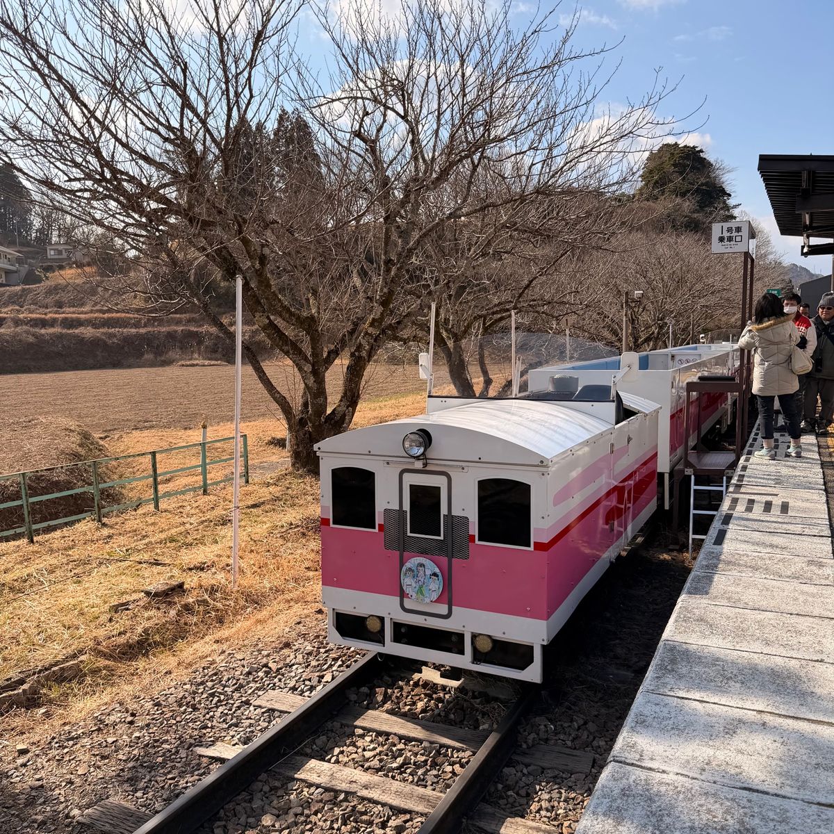 宮崎　
トロッコ　この後帰り寒いと思ったら雪降る☃️❄️
