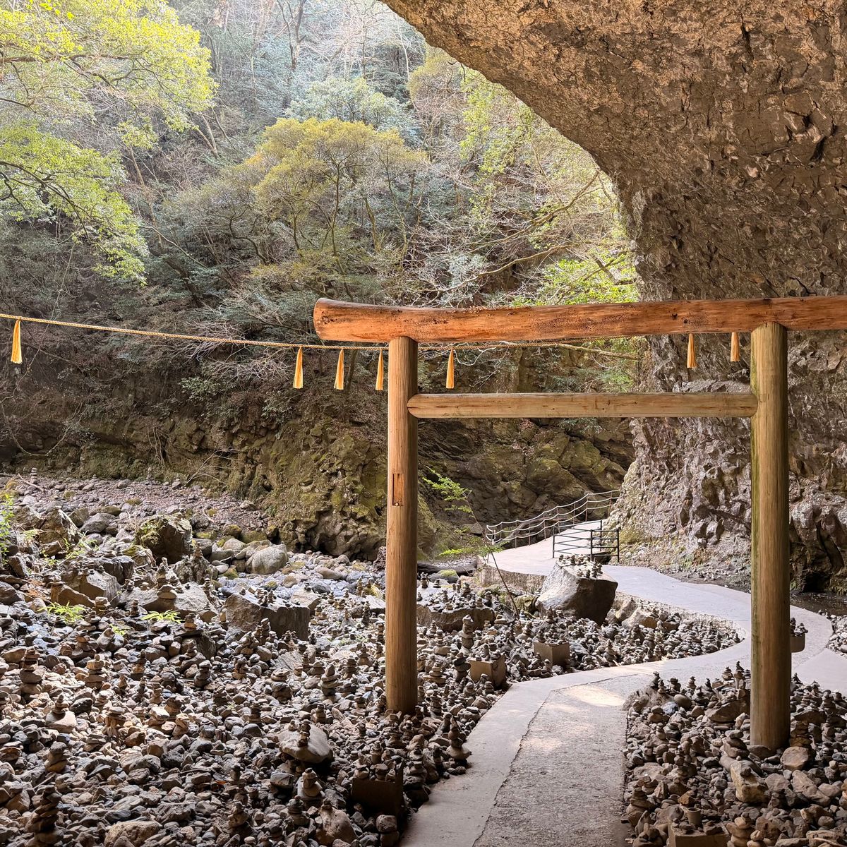 宮崎　
トロッコ　この後帰り寒いと思ったら雪降る☃️❄️