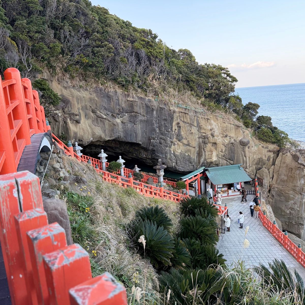 鵜戸神宮
とりわさ