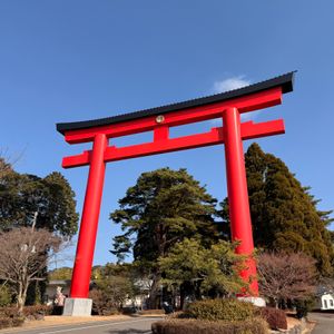 熊本に居すぎて、鹿児島旅館の夜ごはんに夜ギリギリ
霧島神宮　