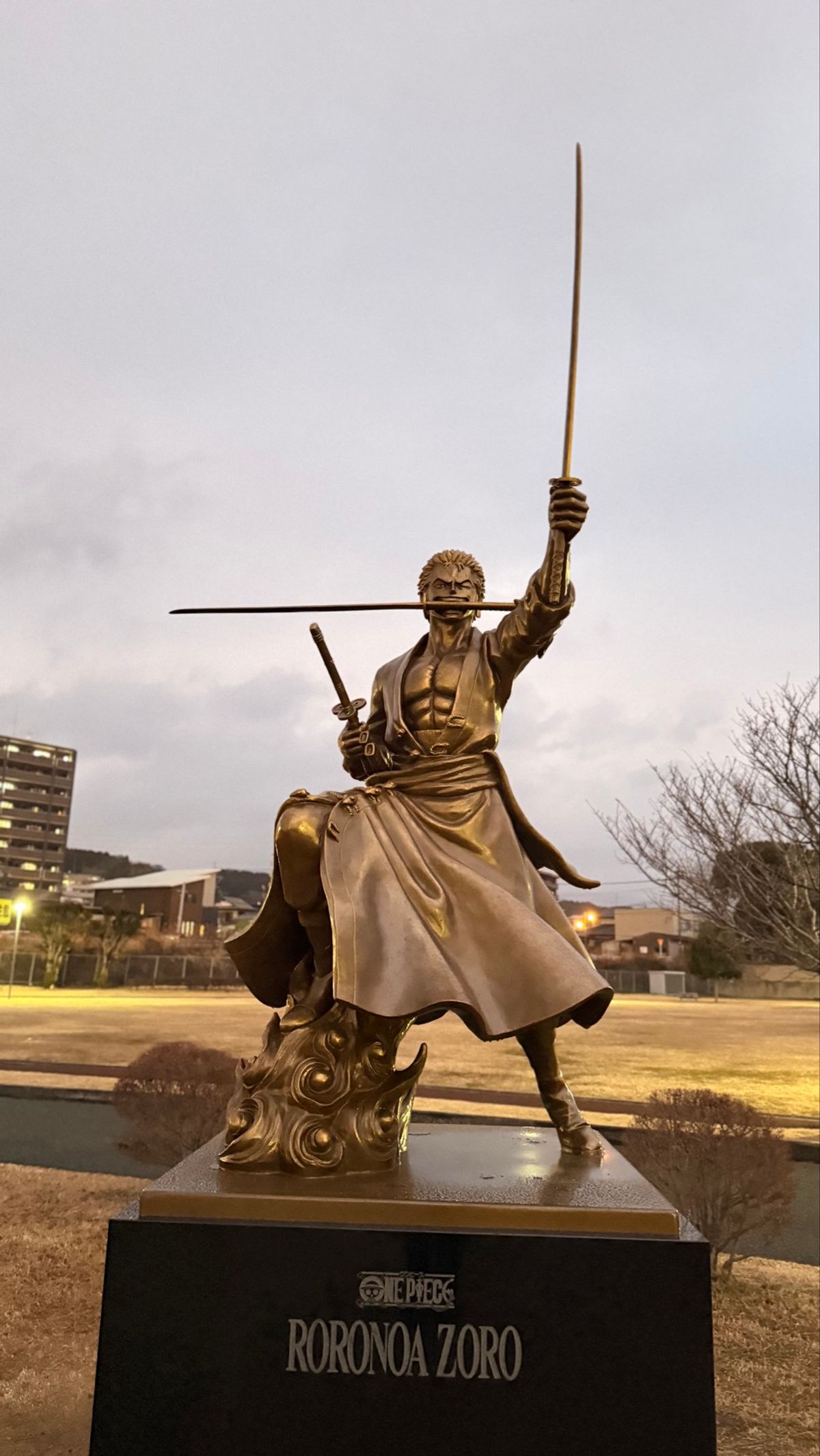 何個かマワレタワンピース像🌊⛵️⚓️