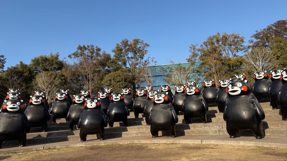 くまもんだらけ🐻