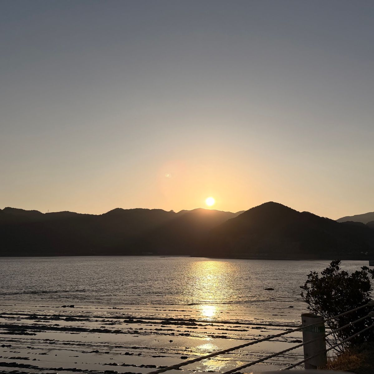 鵜戸神宮
とりわさ