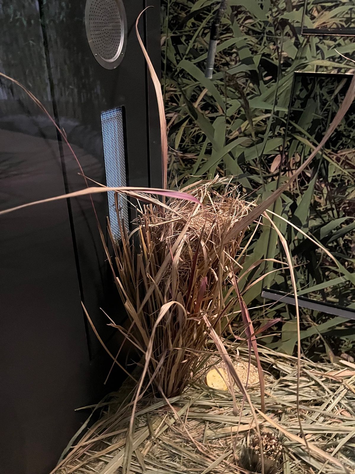 琵琶湖博物館①
かなり見応えあった