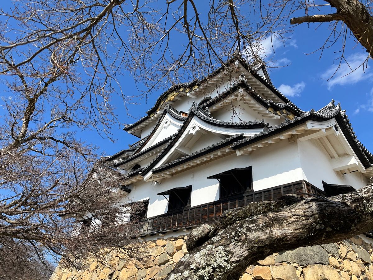 百名城巡り
八幡山城
安土城
観音寺城
彦根城
小谷城
鎌刃城
