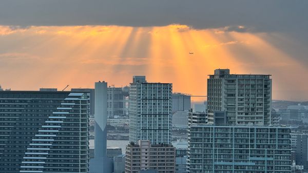 日本・東京都「東京旅行」の写真