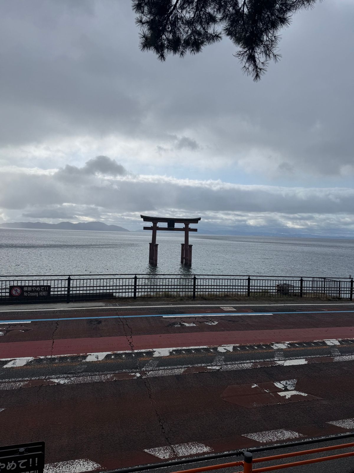白髭神社
雨に降られすぎた😭