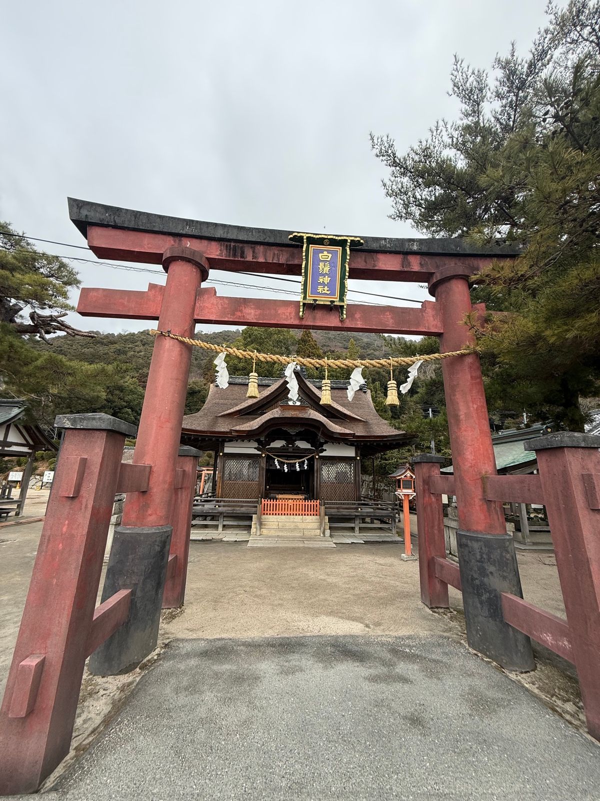 白髭神社
雨に降られすぎた😭