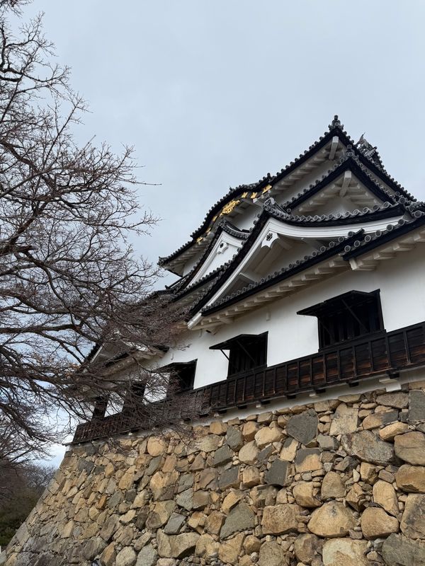 日本・滋賀県「滋賀旅」の写真：彦根城
高低差ありすぎて😭