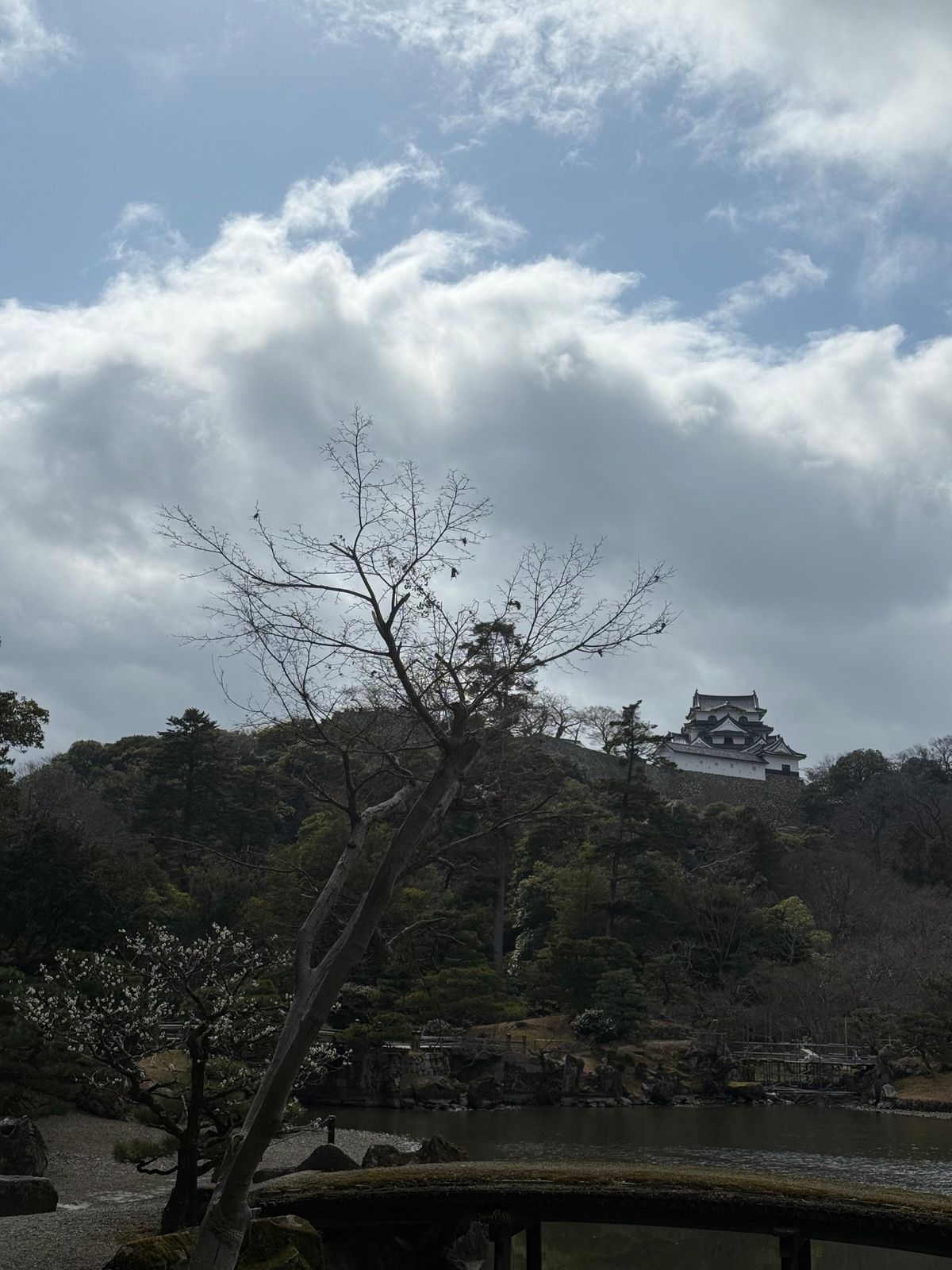 彦根城
高低差ありすぎて😭