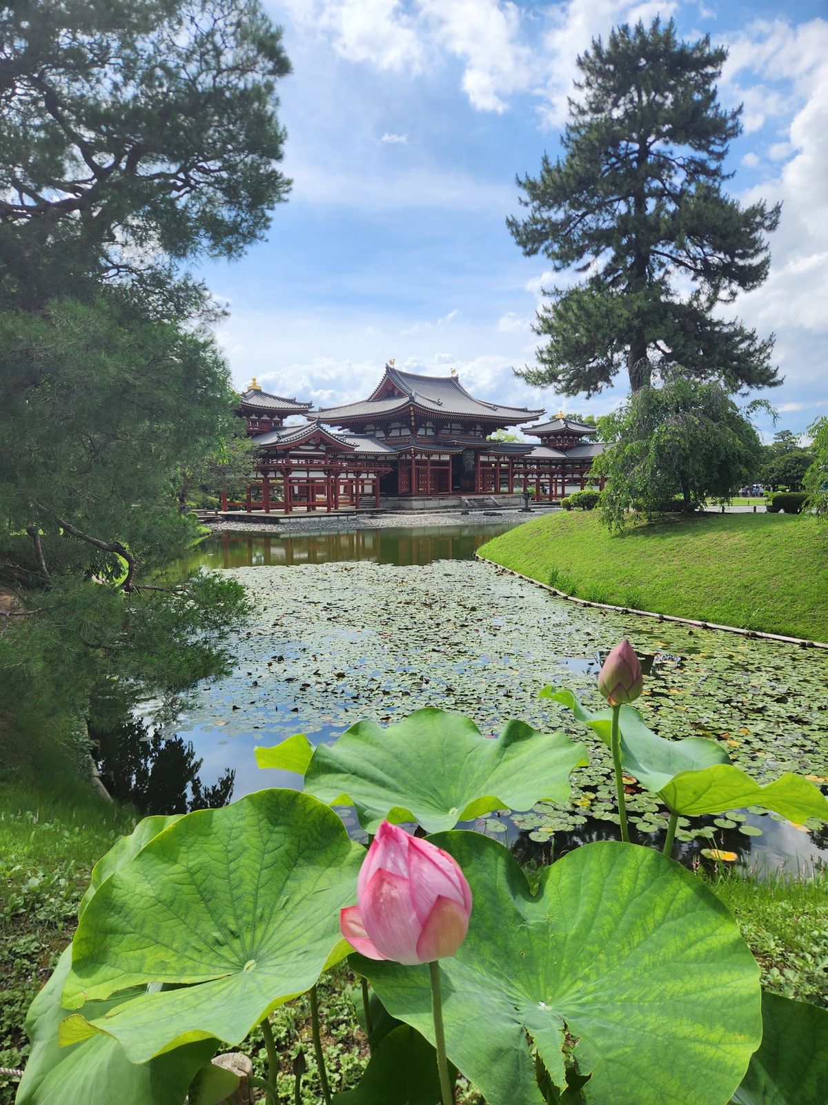 平等院
晴れててすごく良き