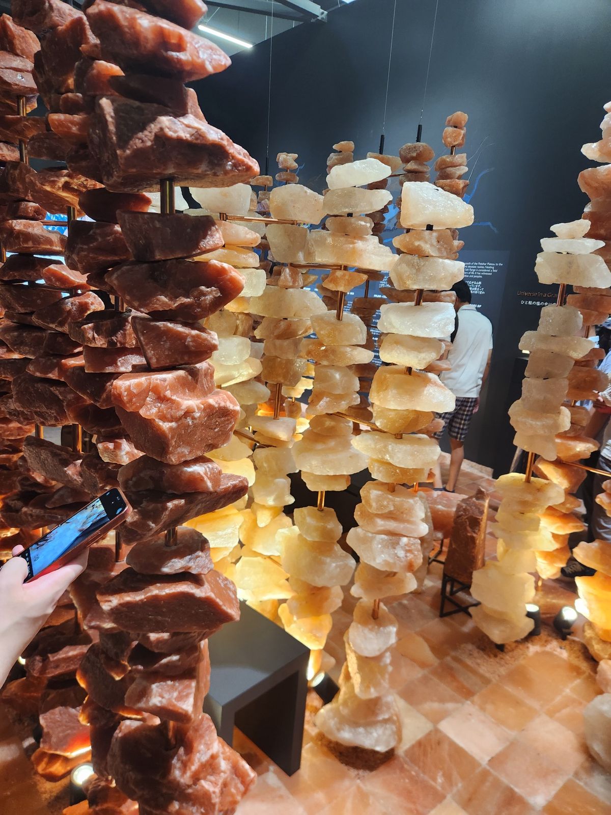 コモンズがすごく👌