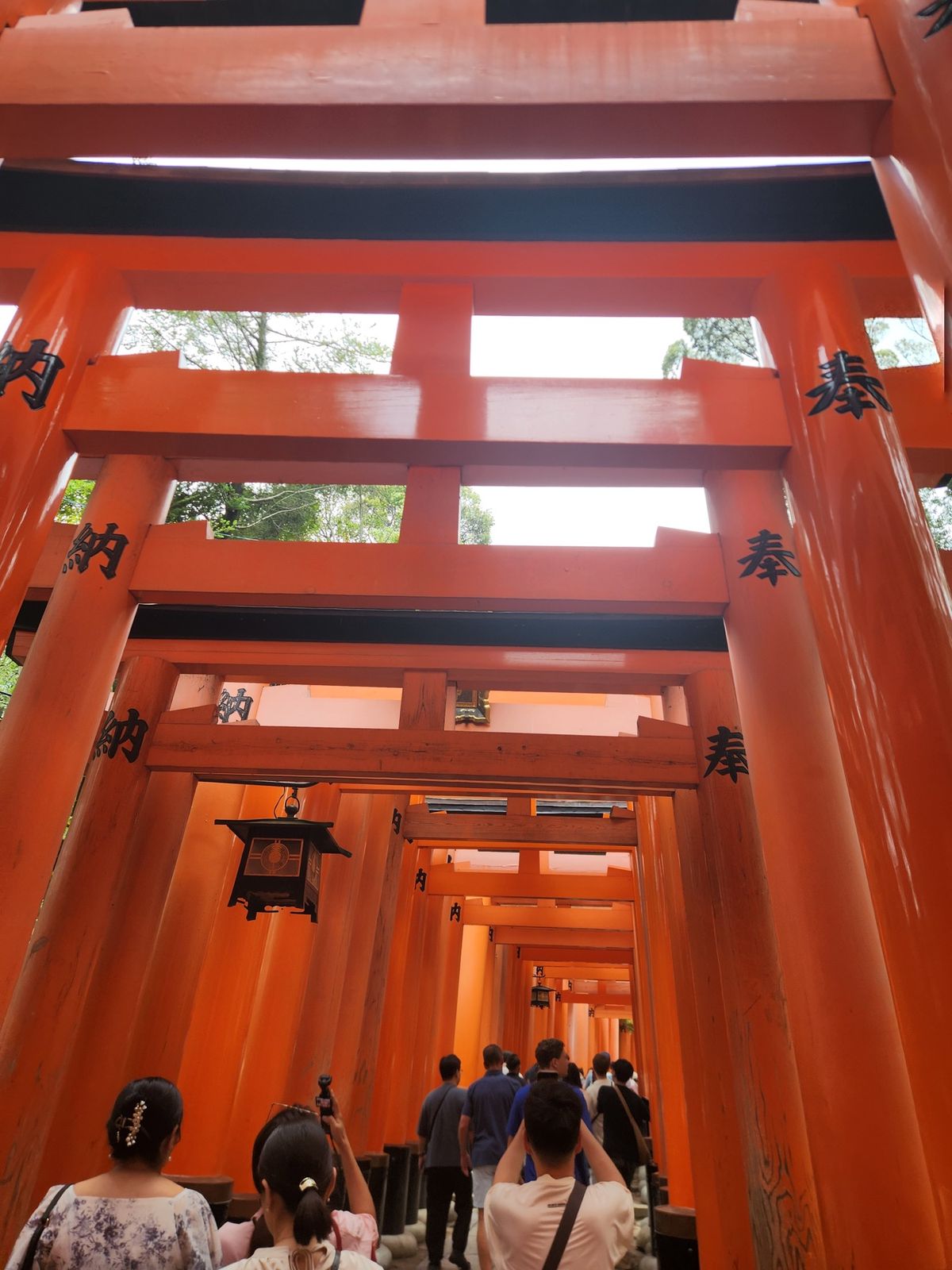 伏見稲荷人多すぎ😨