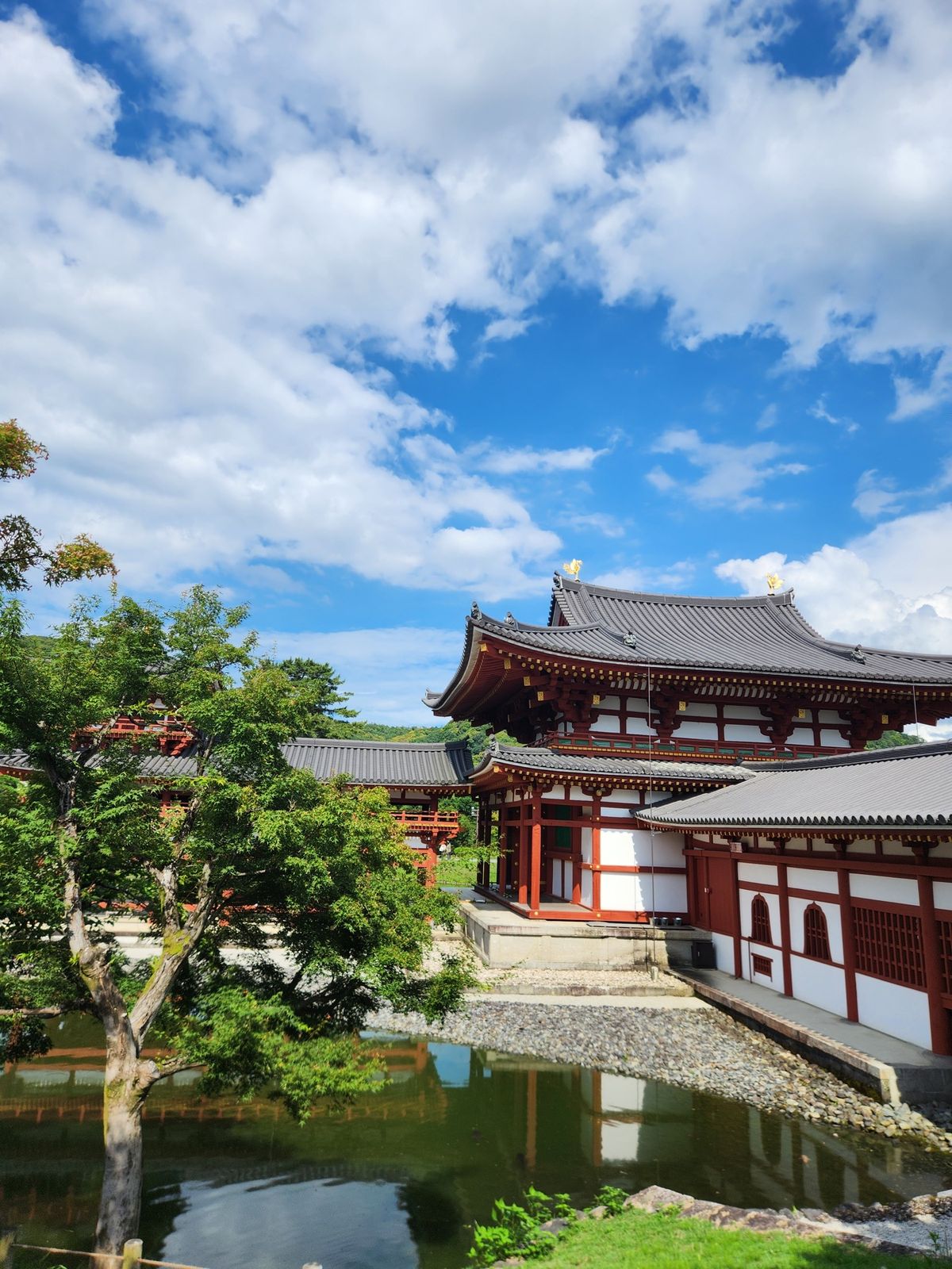 平等院
晴れててすごく良き