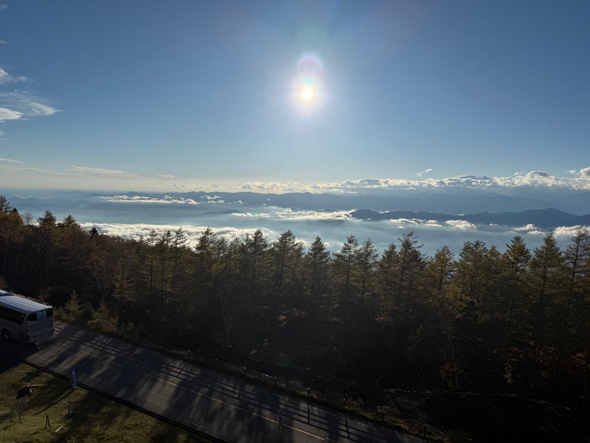 公魚リベンジ👍