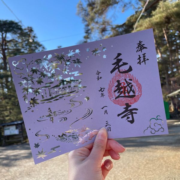 日本・岩手県「岩手県・初詣🚗」の写真