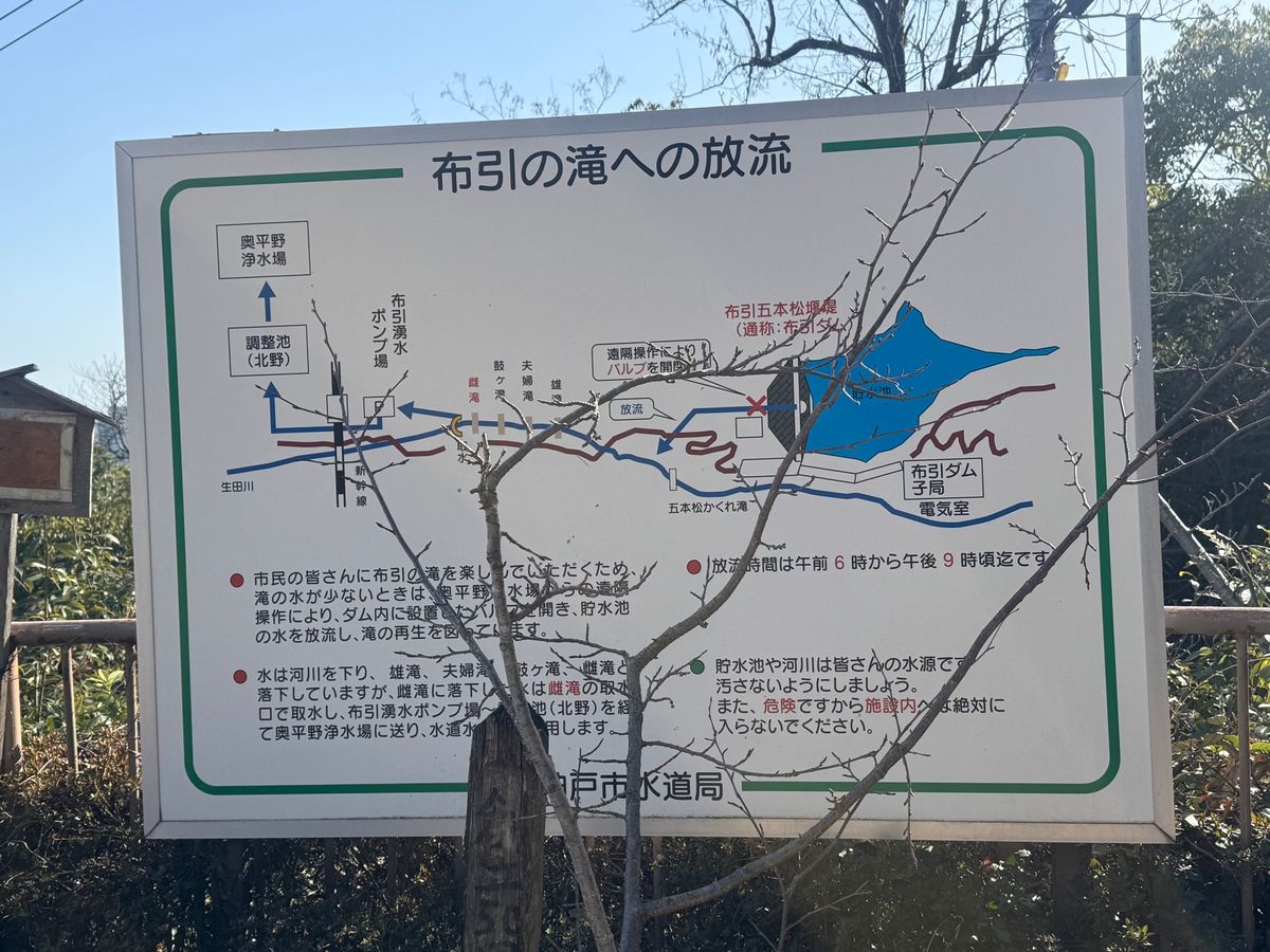 布引ダム
本当はゆっくりダムの周りを歩いて野鳥がいるルートで行きたかったの...