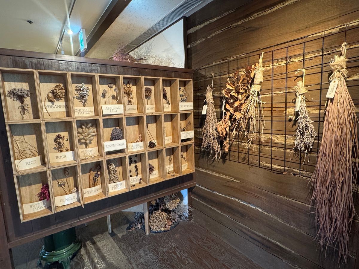 温室でバナナやシナモンが
シナモンの木を間近で見たのは初めてかもしれない。