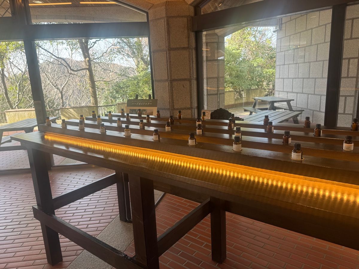 ハーブ園
暖かくて凄くいい天気
早々にソフトクリームを食す🍦
ハーブという...