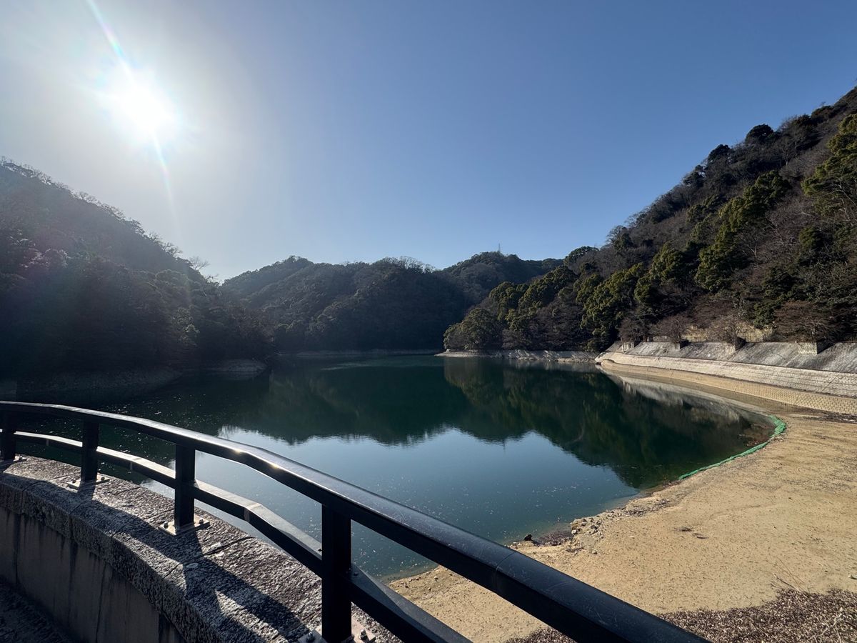 布引ダム
本当はゆっくりダムの周りを歩いて野鳥がいるルートで行きたかったの...