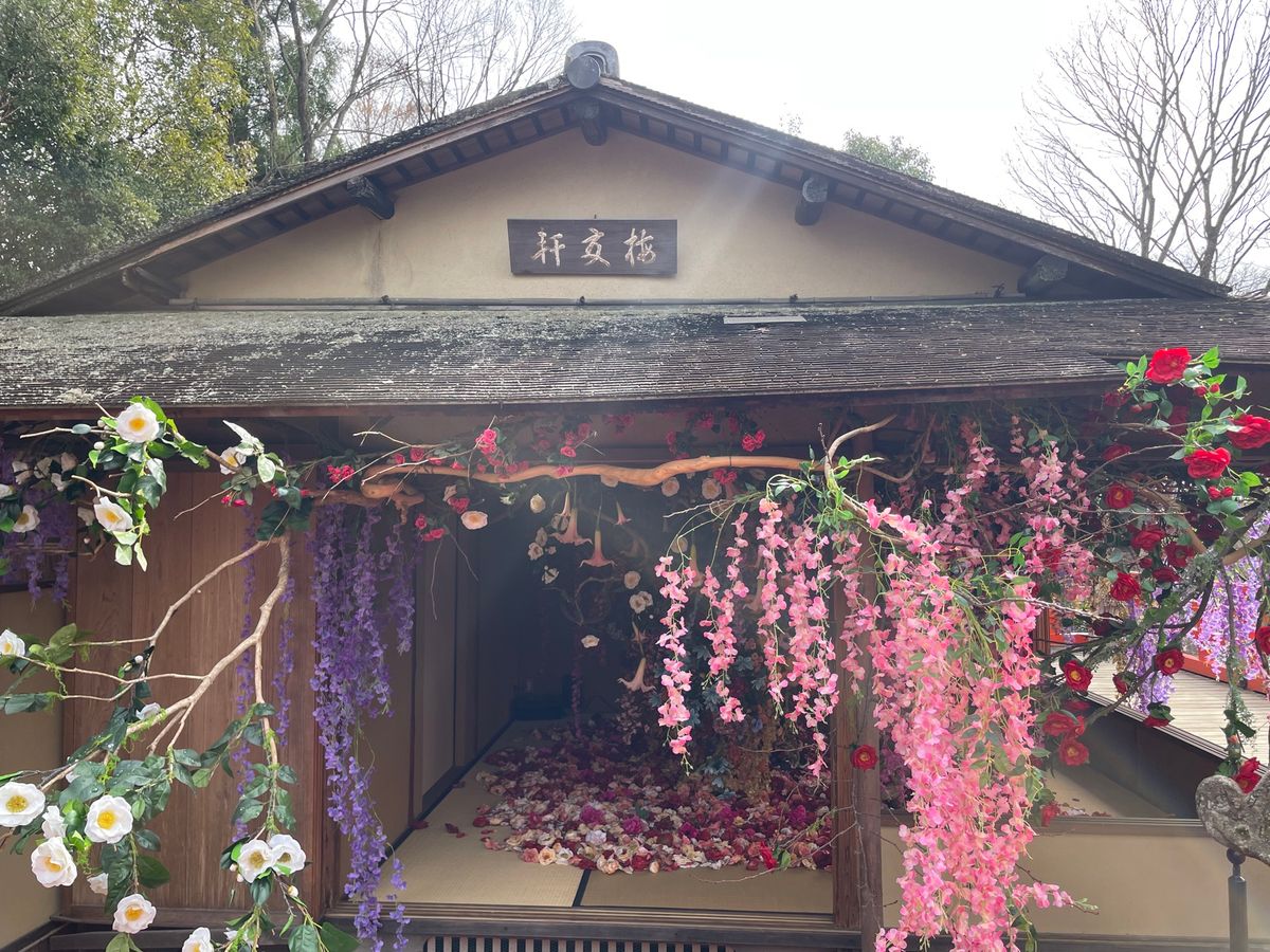 アートとのコラボ