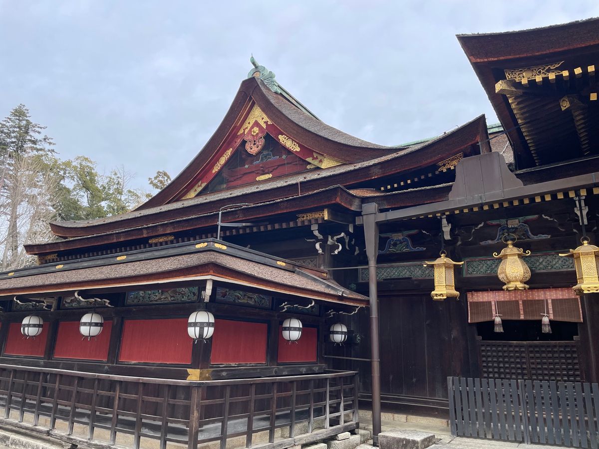 梅苑の外でも梅の花が楽しめます