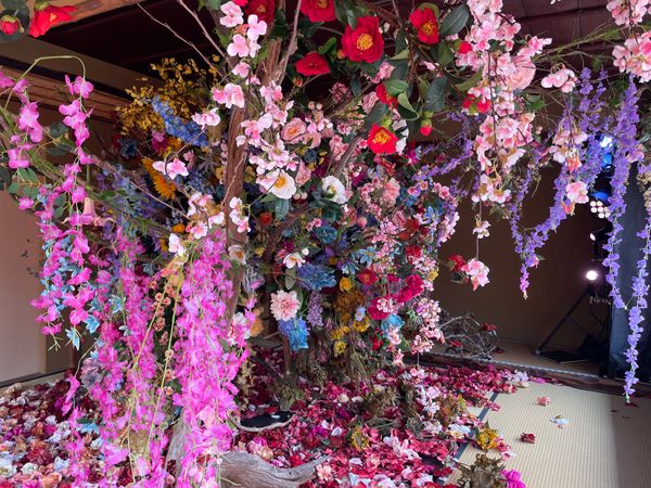 日本・京都府「京都の梅苑巡り」の写真：アートとのコラボ