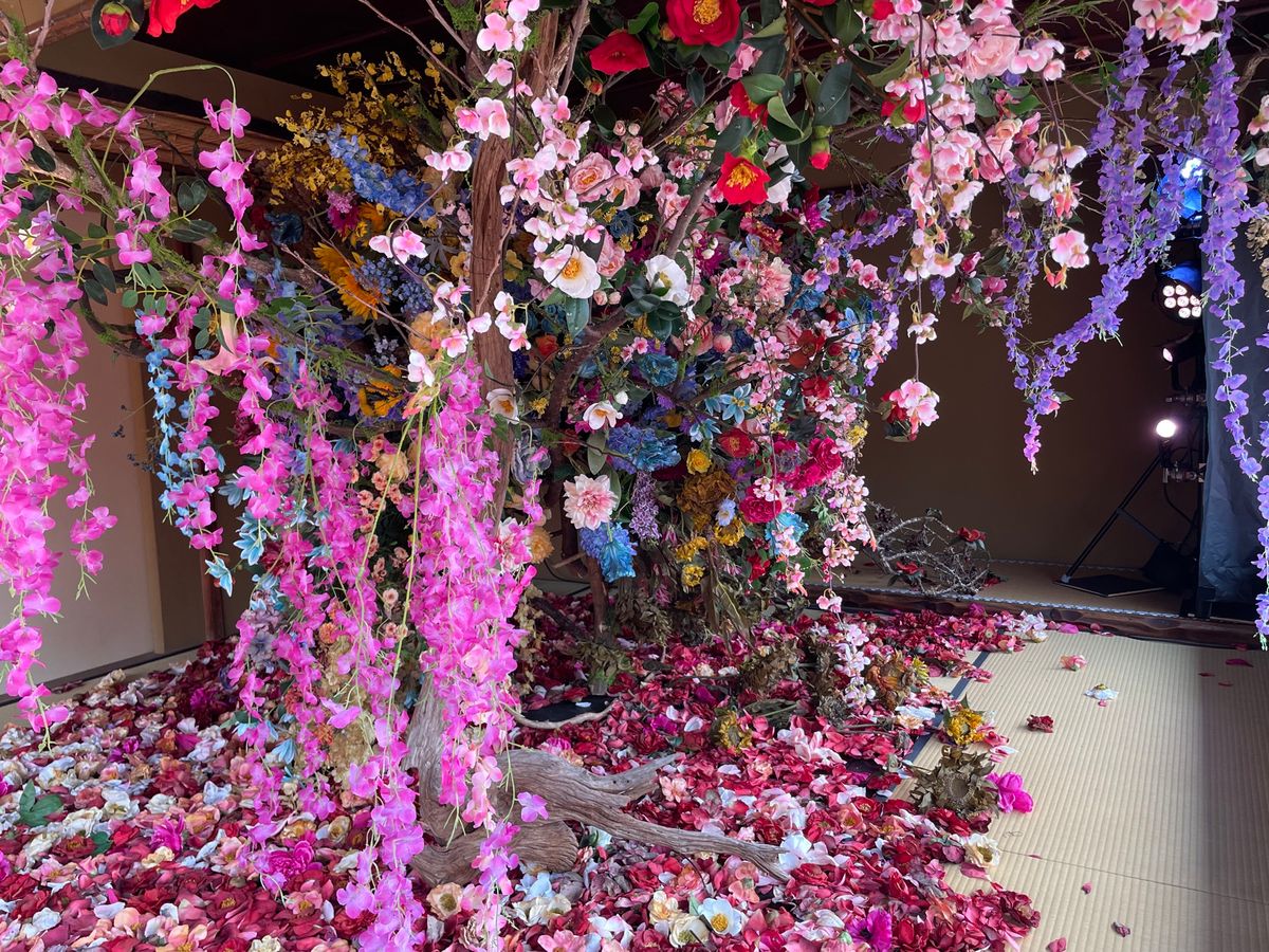 アートとのコラボ