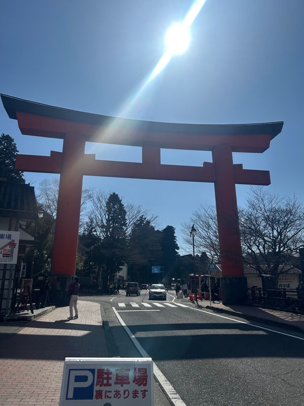 日本・静岡県「西伊豆　河津桜」の写真