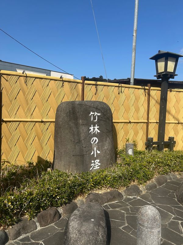 日本・静岡県「西伊豆　河津桜」の写真