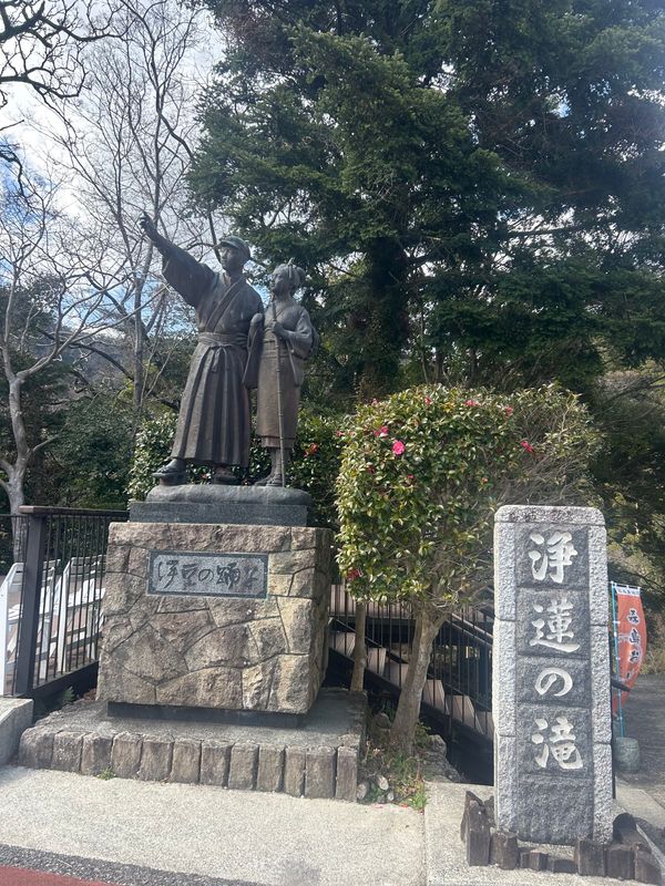 日本・静岡県「西伊豆　河津桜」の写真