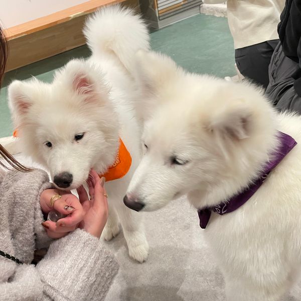 日本・宮城県「宮城県旅行✈️」の写真