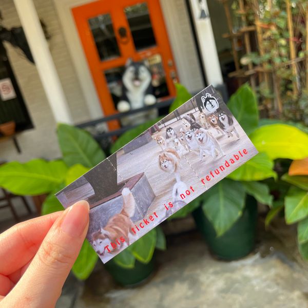 タイ・バンコク「タイ旅行✈️」の写真