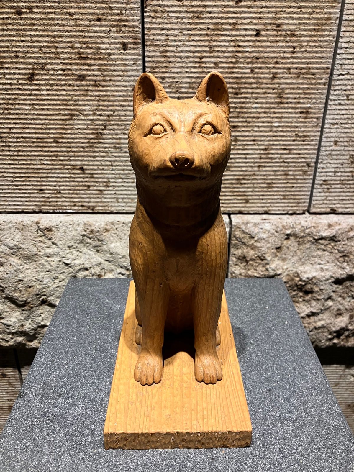 大樹見学良かったです。