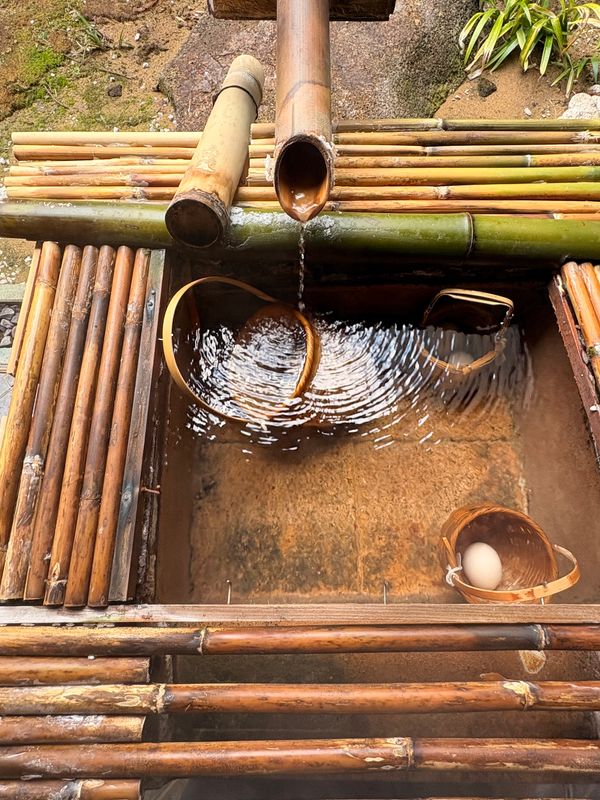日本・福井県「芦原温泉」の写真：自分で作る♨️温泉卵🥚とお目当ての蟹🦀