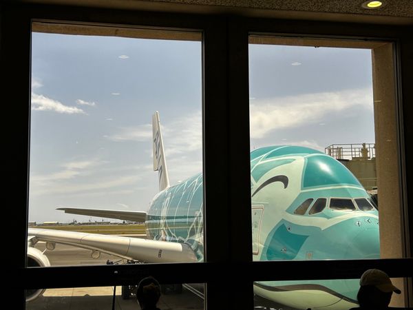 アメリカ(米国)・ホノルル「KOA✈︎」の写真：ホノルル