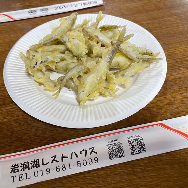 日本・岩手県「岩手県・岩洞湖🚗」の写真