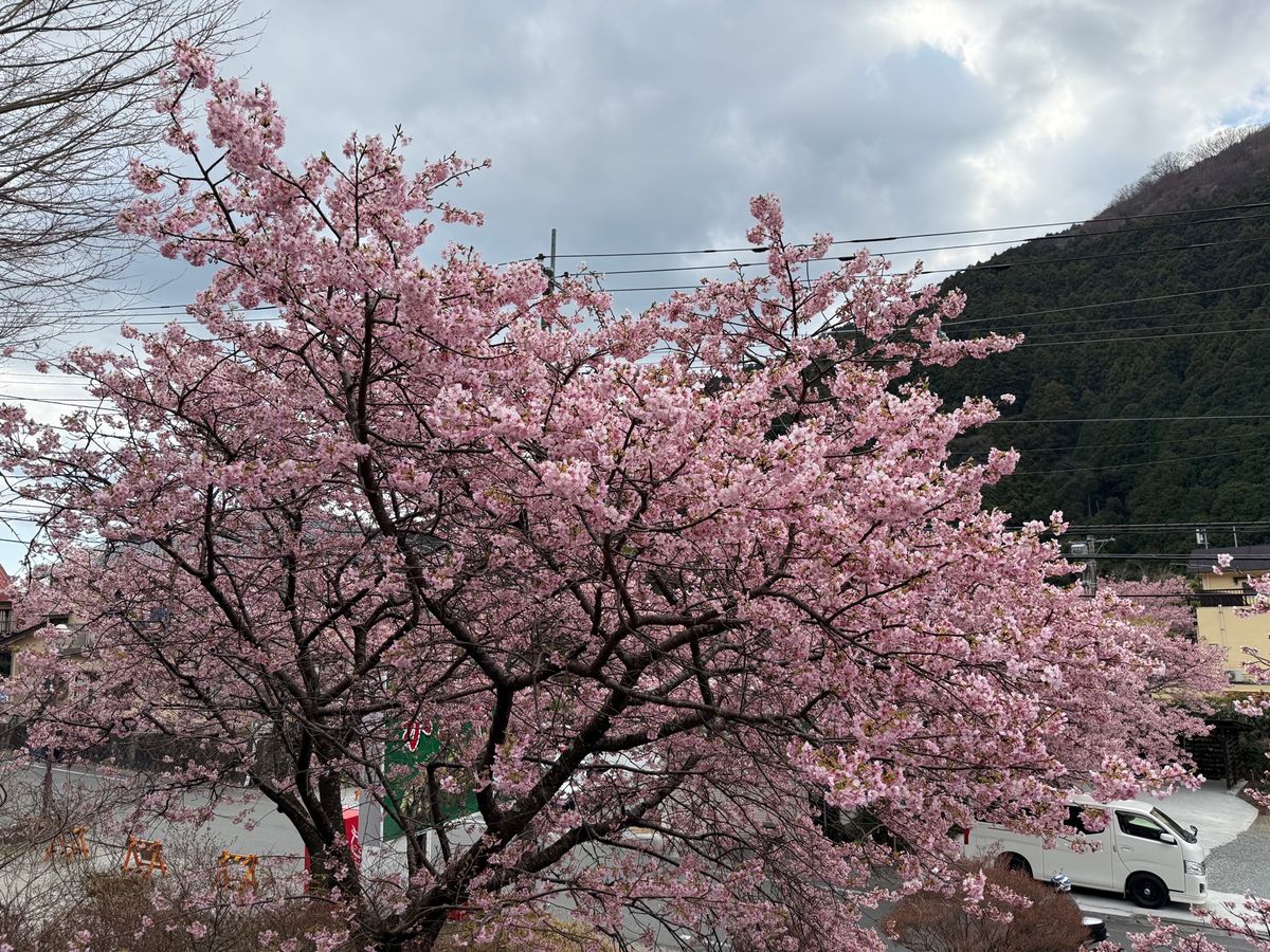 七滝茶屋付近で