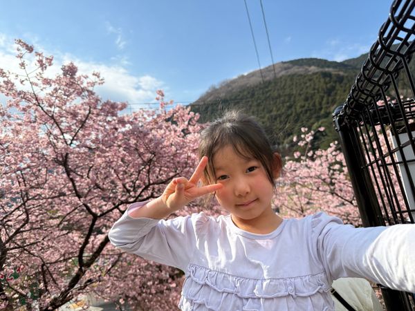 日本・静岡県「河津桜を見に伊東泊」の写真：七滝茶屋付近で