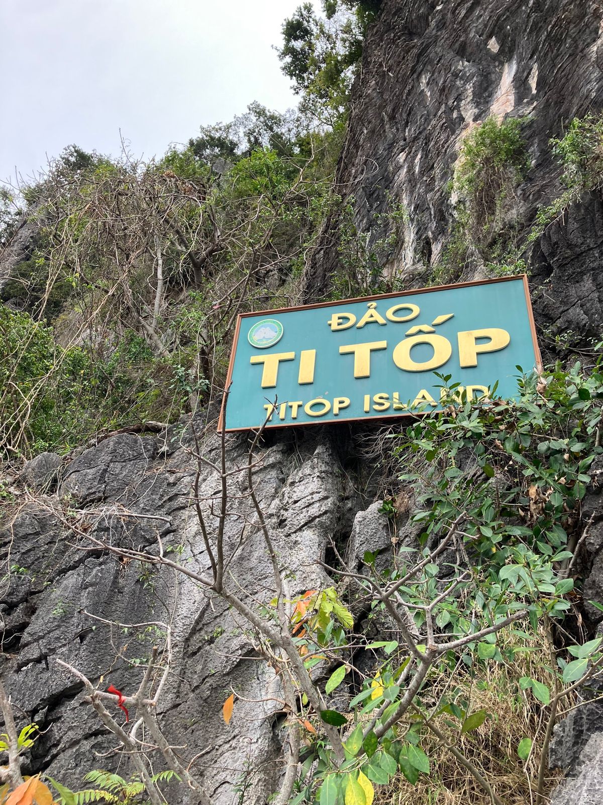 ハロン湾
世界遺産のカルスト地形
大小の岩をぬって走るクルーズ船は景色も風...