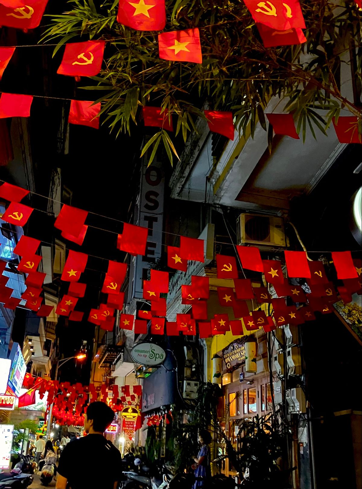 ハノイ市内にはたくさん国旗が掲げられてて
日本ではない綺麗な景色だなあと
...