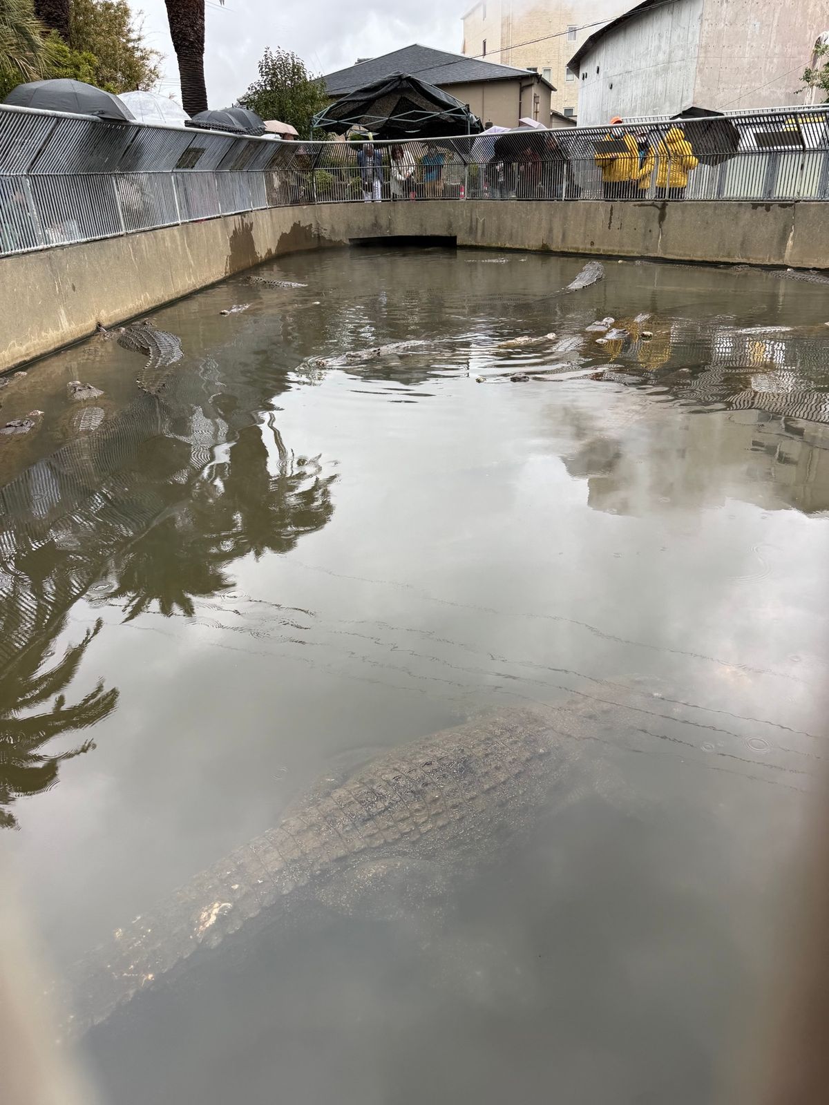 最終日は地獄めぐり
途中雨降ったけど良き旅だった！